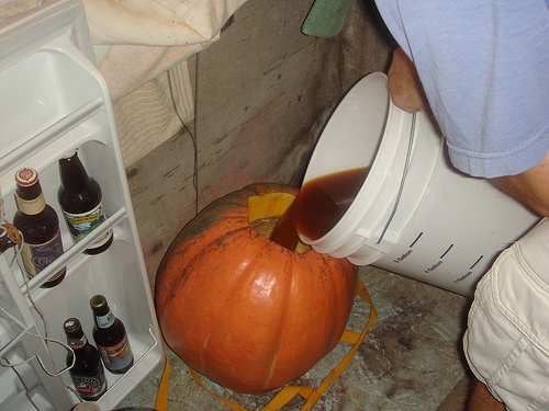 pumpkin beer step 16
