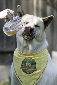 Dog With Beer Happy Tail Ale Mug
