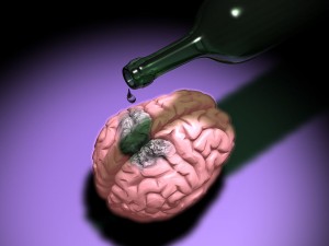 alcohol kills brain cells