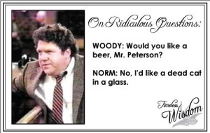 Norm Peterson on Ridiculous Questions