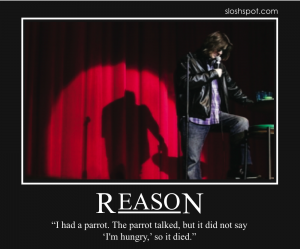 Mitch Hedberg on Reason