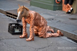 Why It Would Suck To Be a Busker - The Horse Man