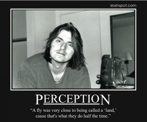 Mitch Hedberg on Perception