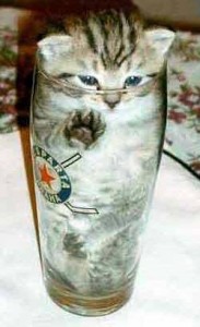 Cats Who LOVE Beer - The Dare