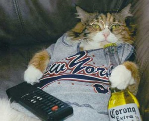 Cats Who LOVE Beer - Go Knicks!
