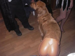 Halloween Pet Costumes - Dog With Big Butt