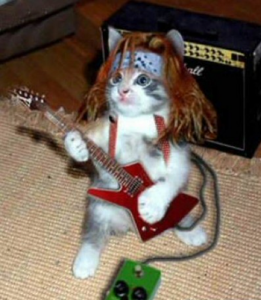 Anthropomophism Animals Dressed as Humans - Cat as Rockstar
