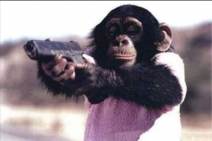 Anthropomophism Animals Dressed as Humans - Monkey with Gun