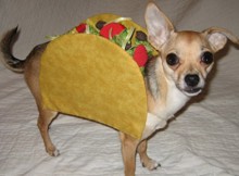 Halloween Pet Costumes - Dog As Taco