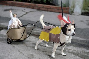Halloween Pet Costumes - Dog As Chariot Horse