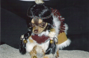 Halloween Pet Costumes - Dog As Pocahontas