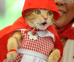 Halloween Pet Costumes - Cat As Red Riding Hood