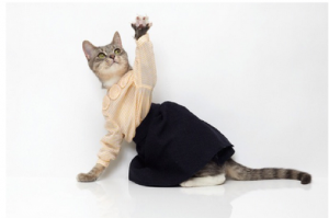 Anthropomophism Animals Dressed as Humans - Cat as Ava Gardner