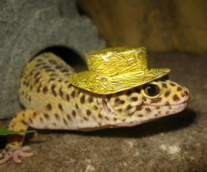 Anthropomophism Animals Dressed as Humans - Lizard with Hat