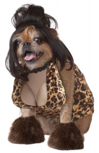 Anthropomophism Animals Dressed as Humans - Dog as Sexy Woman