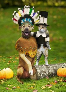 Anthropomophism Animals Dressed as Humans - Dog and Cat for Thanksgiving