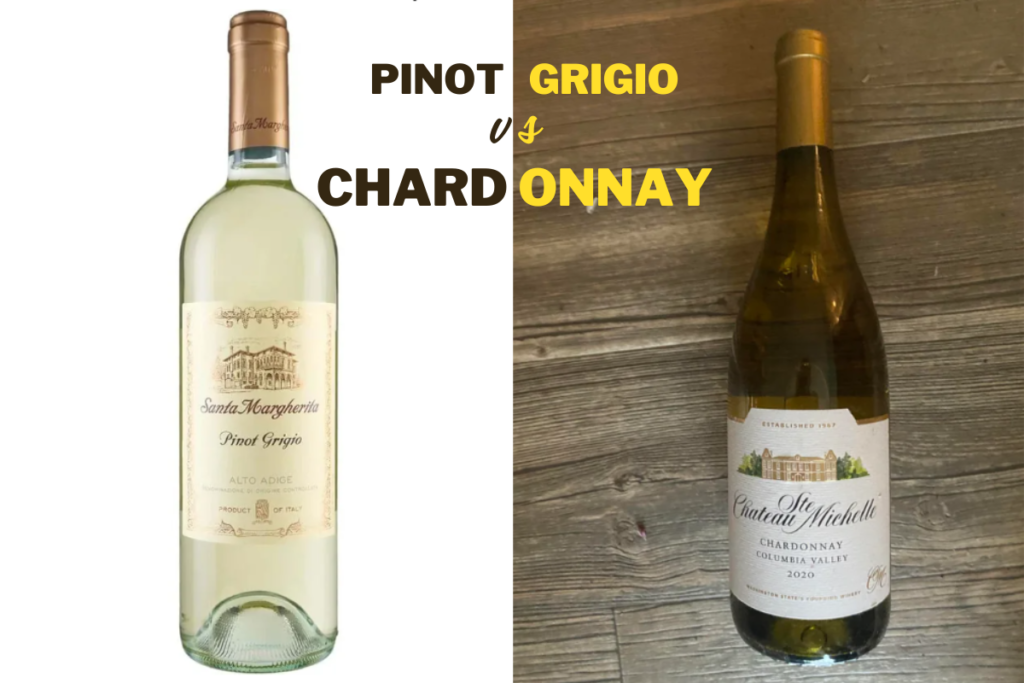 Pinot Grigio vs Chardonnay wine